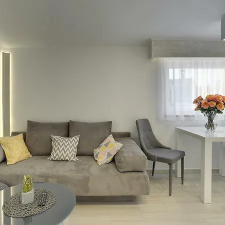 Zanetti 2 * Пула